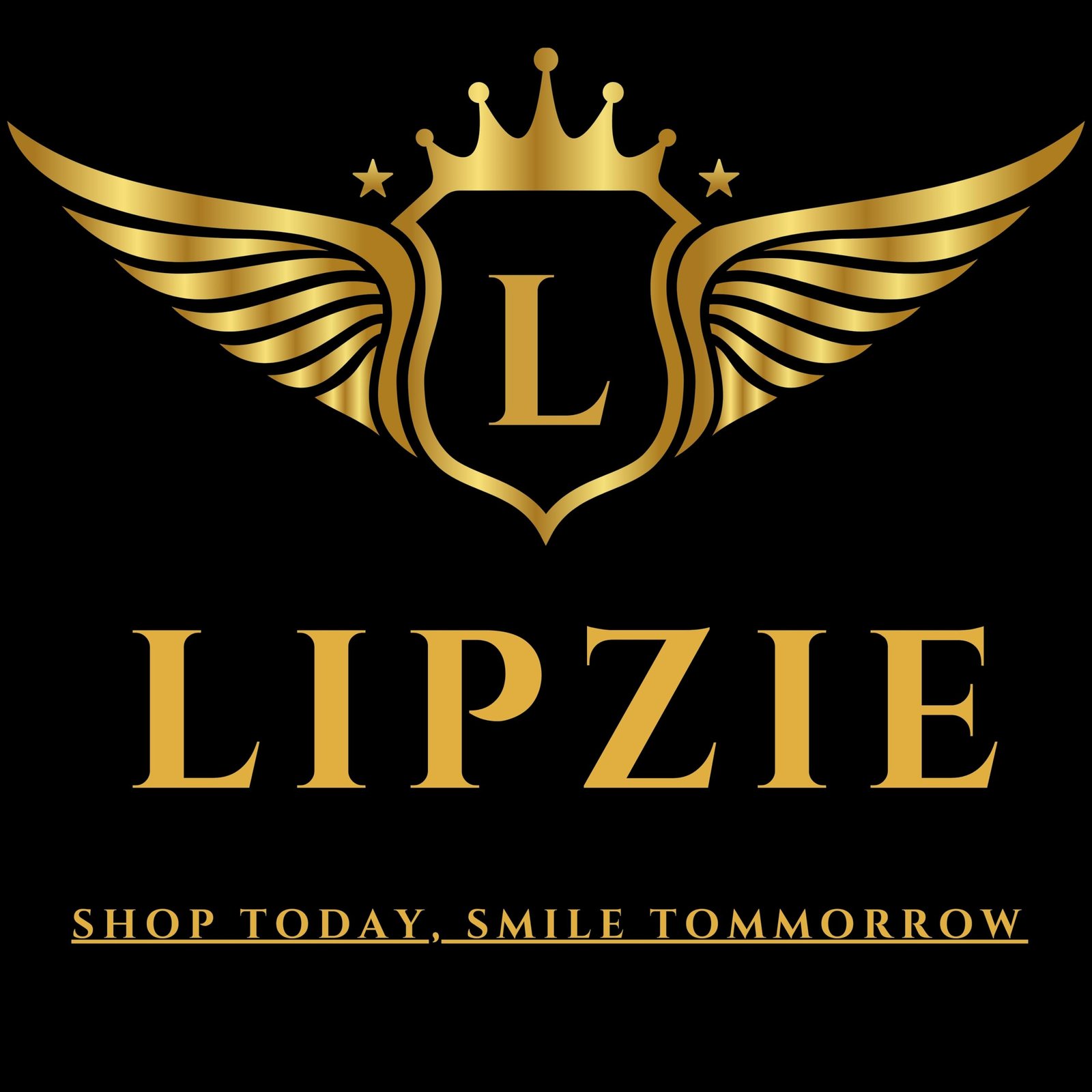 Lipzie Full HD 1080p USB Webcam with Built-in Microphone, Plug & Play Camera for Video Calls, Online Classes, Meetings & Streaming Use