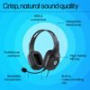 HP H120 Stereo USB Headset, Plug-and-Play USB-A, Built-in Noise-canceling mic, Adjustable Head Strap, Padded Ear Cushions, 360-degree Bendable mic, 1-Year Limited Warranty, Black, 9Z4V9AA